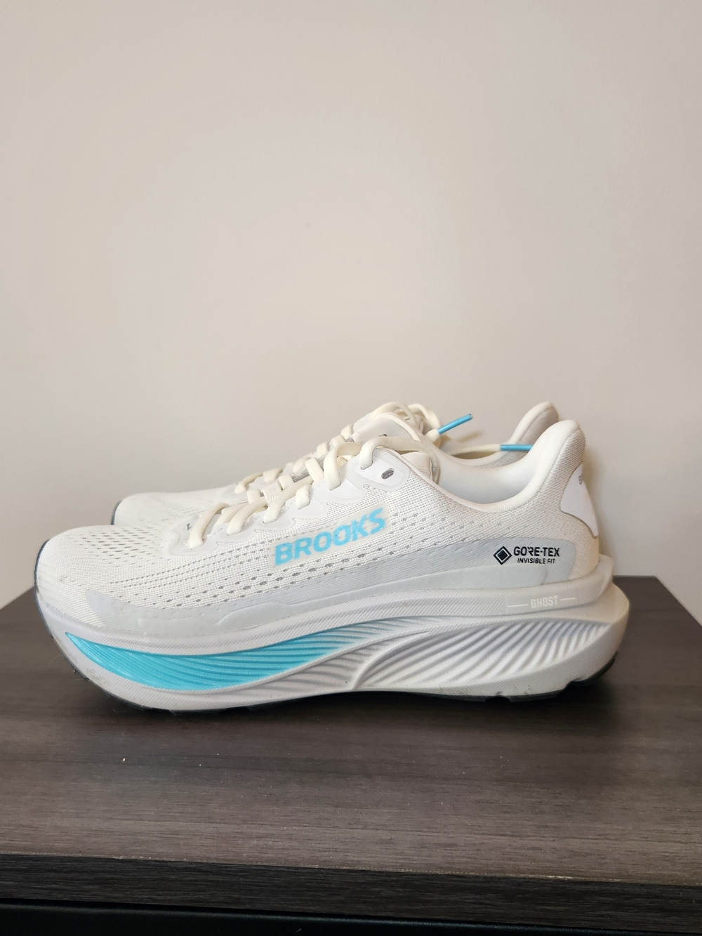 Brooks Ghost 17 Gore-Tex GTX Running Shoes Womens Size 7.5 Waterproof